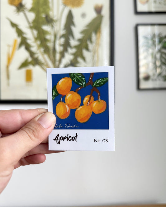 Fridge Magnets - The Polaroid Series