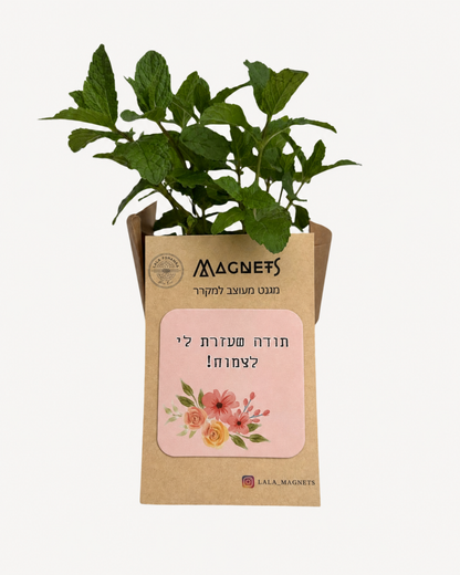 מתנת סוף שנה לגננת/גנן/מורה. ארז עציץ ומגנט עם הקדשה. מתנה מקורית לסוף שנה נענע