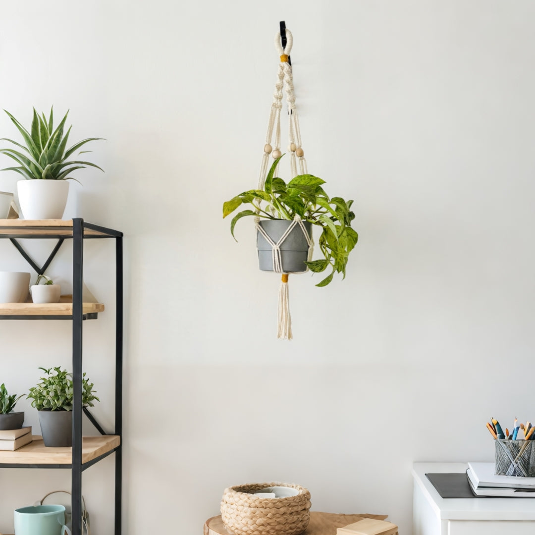 plant rack