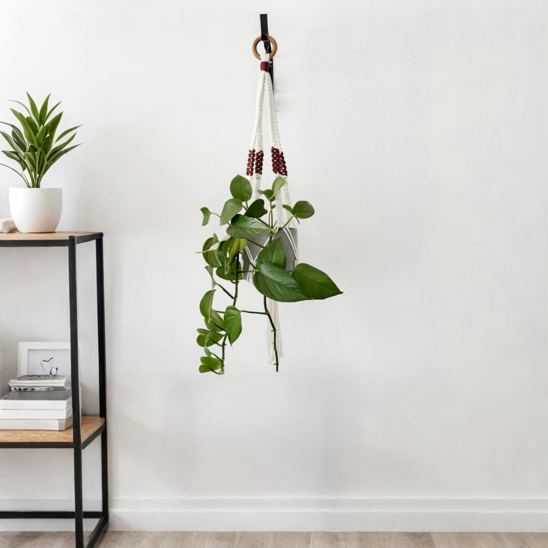 macrame plant hanger