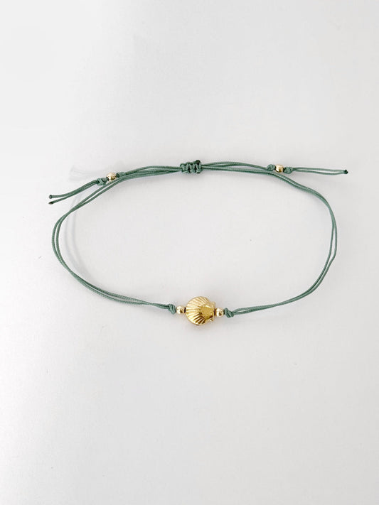 🎁 צמיד Shell (100% off)