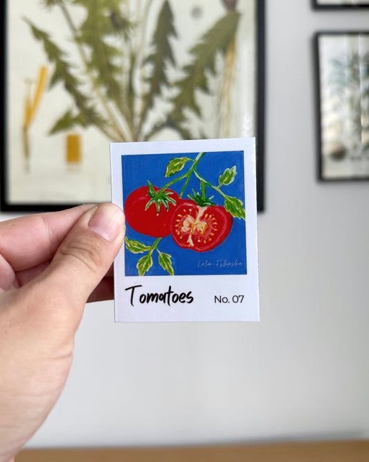 Fridge Magnets - The Polaroid Series